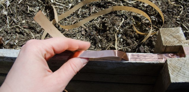 Applying copper tape around the top of garden bed